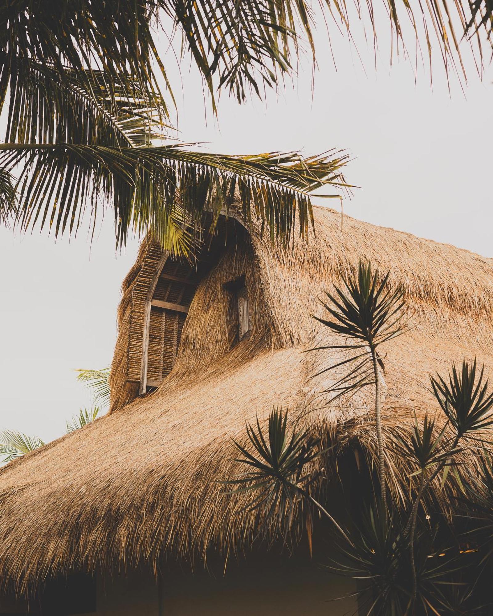Owa Areguling Lodge