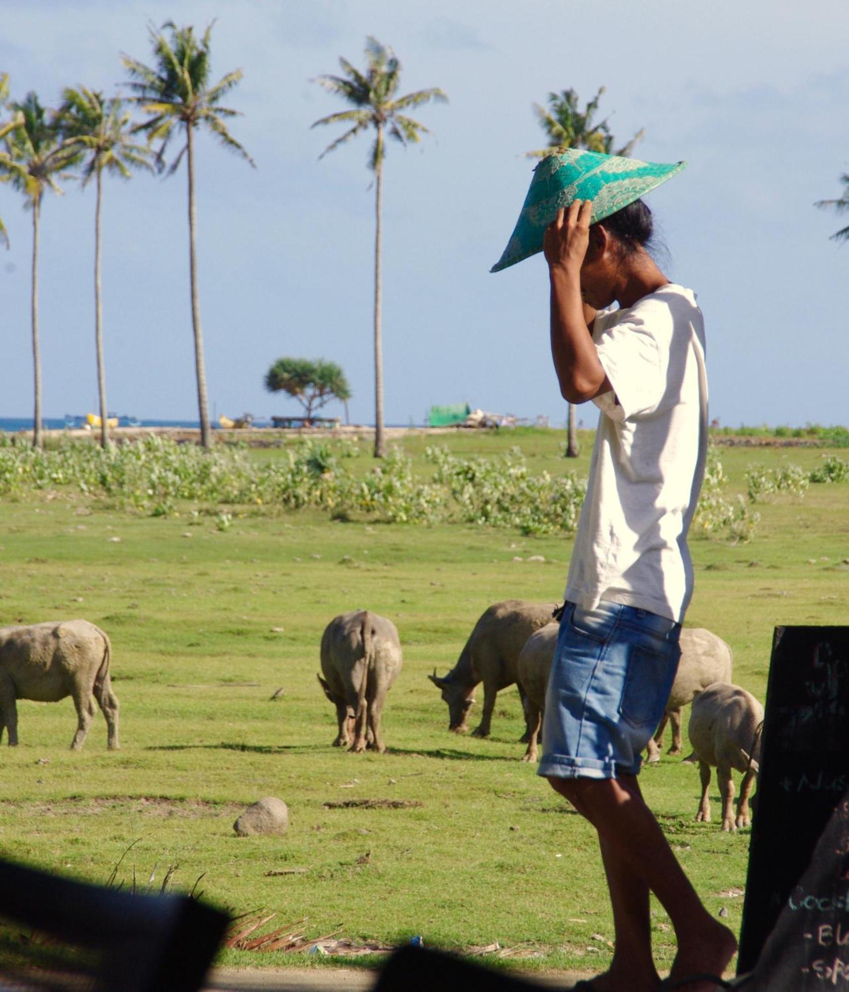 Owa Lodge Kuta (Lombok)